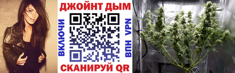 Марихуана план  продажа наркотиков  Каменск-Шахтинский 